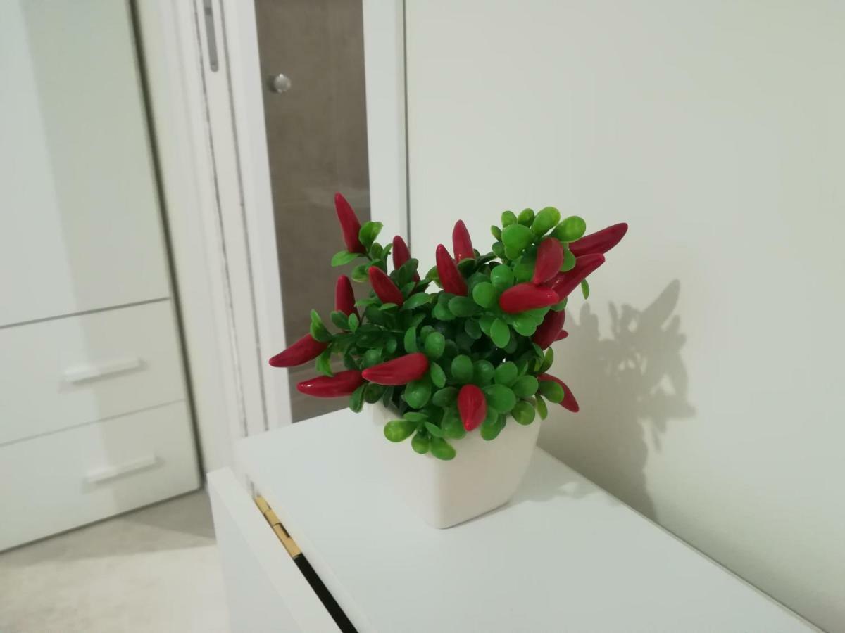 Guest House B&B Via Marina レッジョ・ディ・カラブリア エクステリア 写真